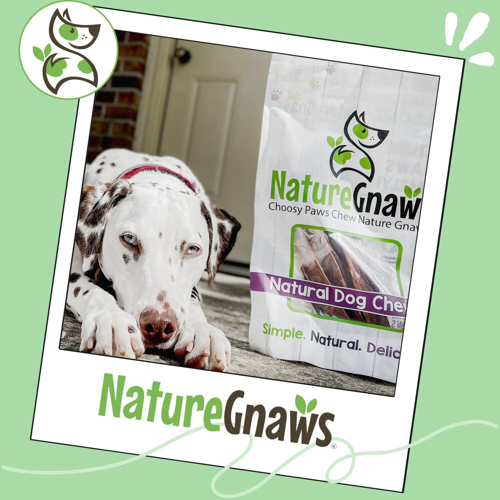 Nature Gnaws paquete de 20 masticables, perfecto para sesiones de entrenamiento y recompensa.