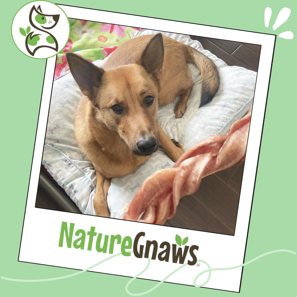Nature Gnaws producto natural de negocio familiar, compromiso con ingredientes responsables.