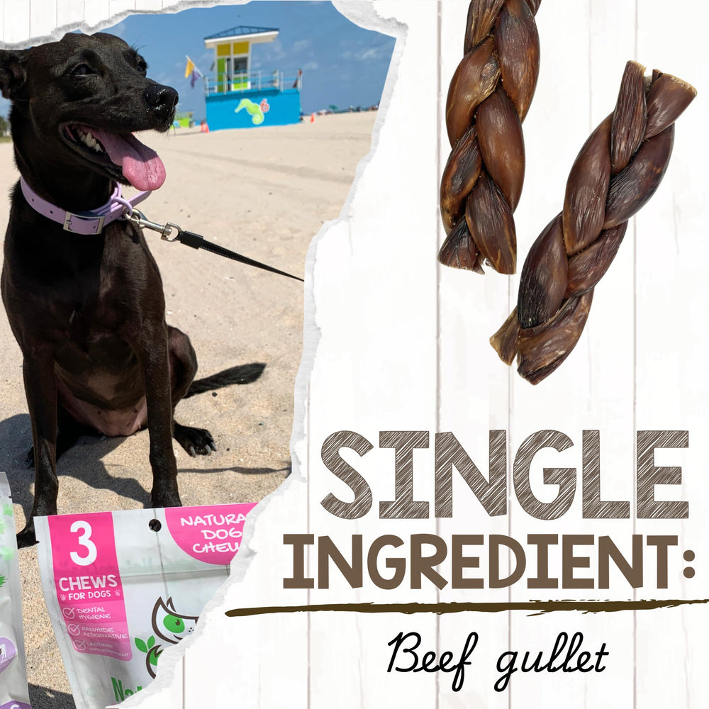 Nature Gnaws sin gluten y sin granos, opción natural para perros sensibles
