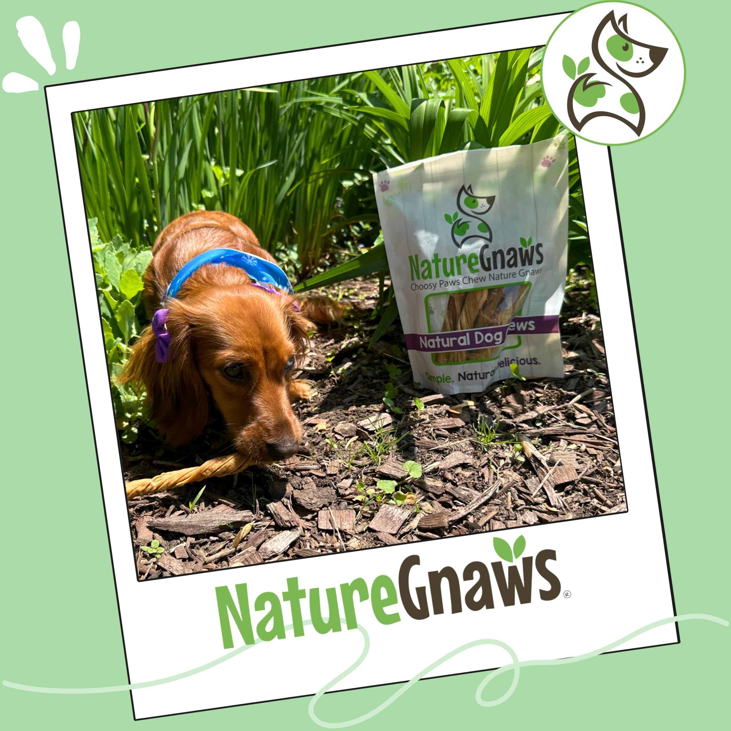Nature Gnaws Sin gluten y sin granos, tiras de tripa para masticar.
