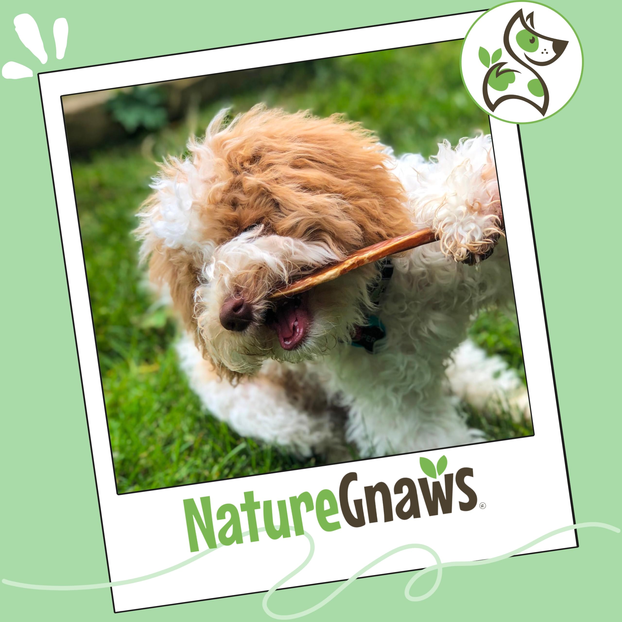 Nature Gnaws solución natural sin gluten ni granos para perros pequeños.