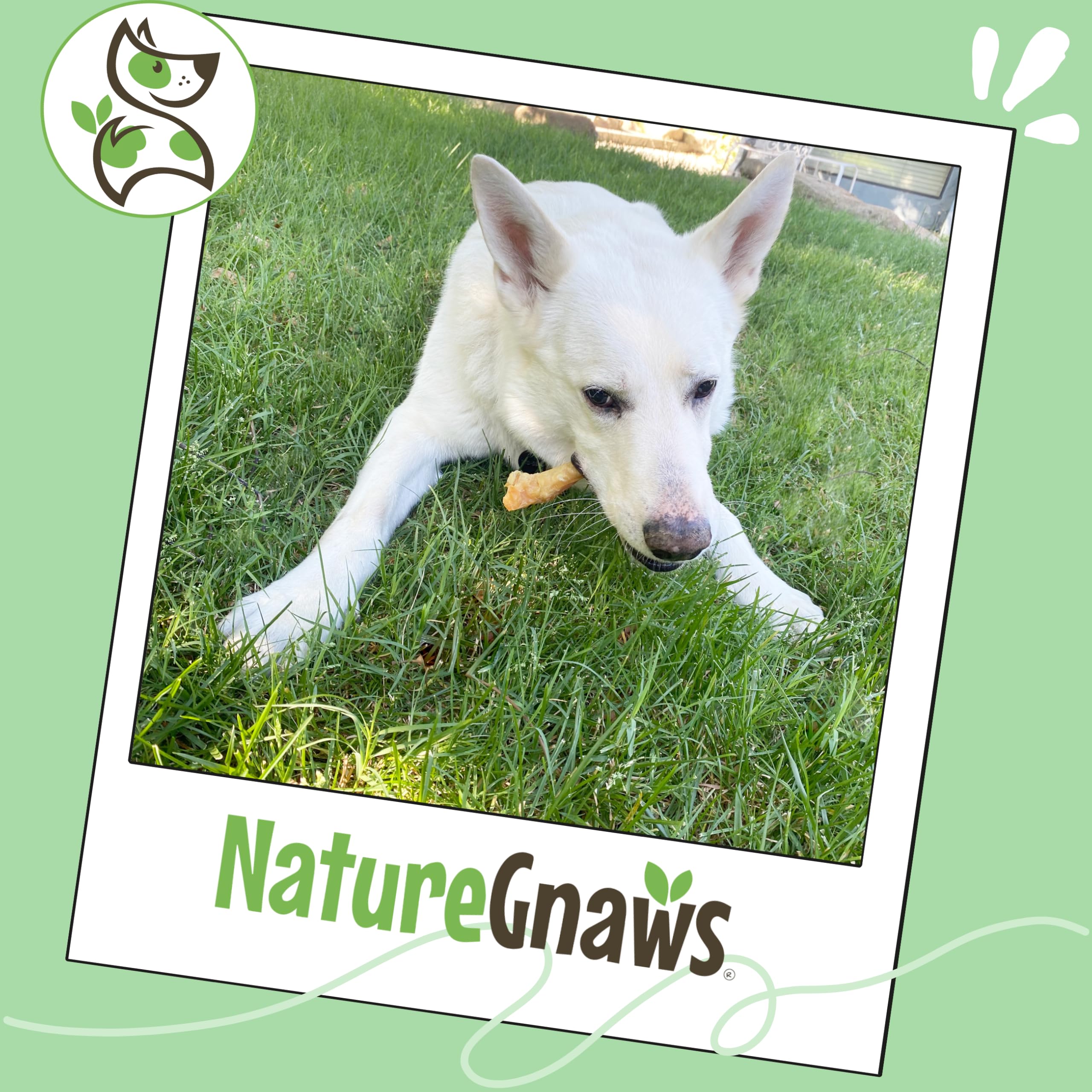 Nature Gnaws Tendones de res aroma natural y sabor a res