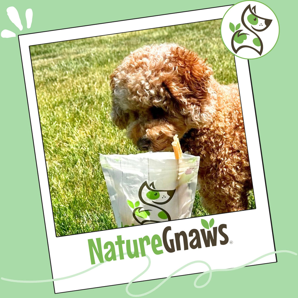 Nature Gnaws Tendones de res sin gluten ni granos para perros