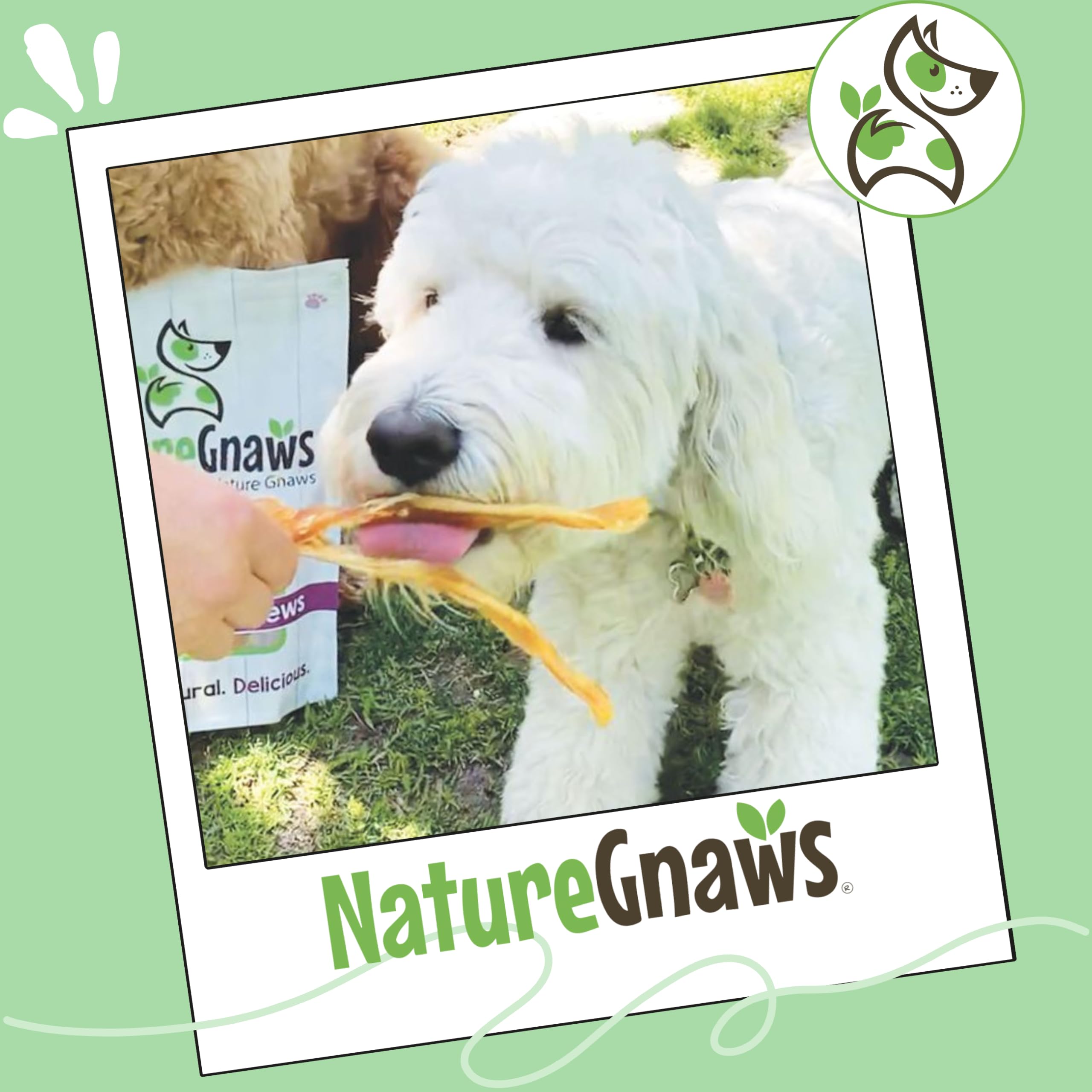 Nature Gnaws Tendones en empaque responsable para el hogar.