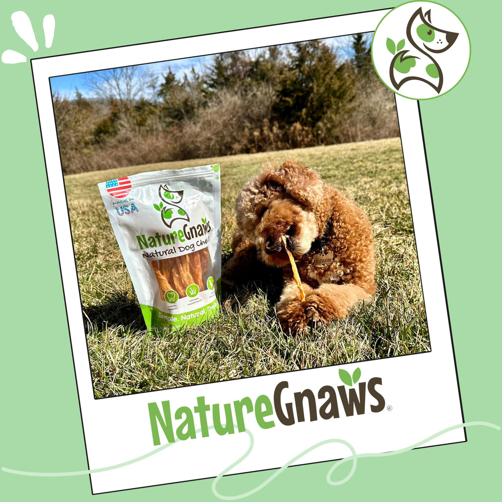 Tendones de Pavo Nature Gnaws: complemento natural para higiene dental.
