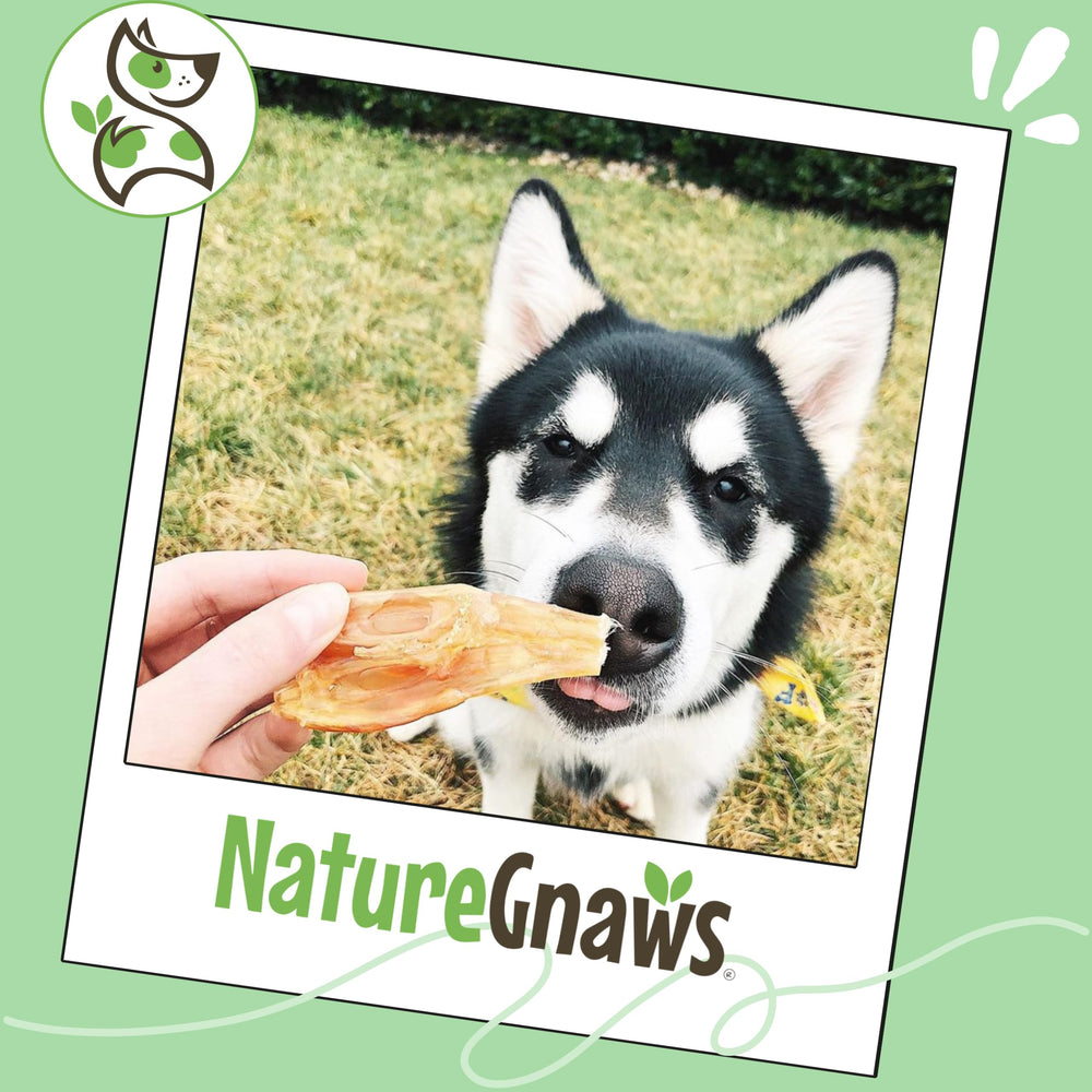 Tendones Nature Gnaws sin gluten para perros