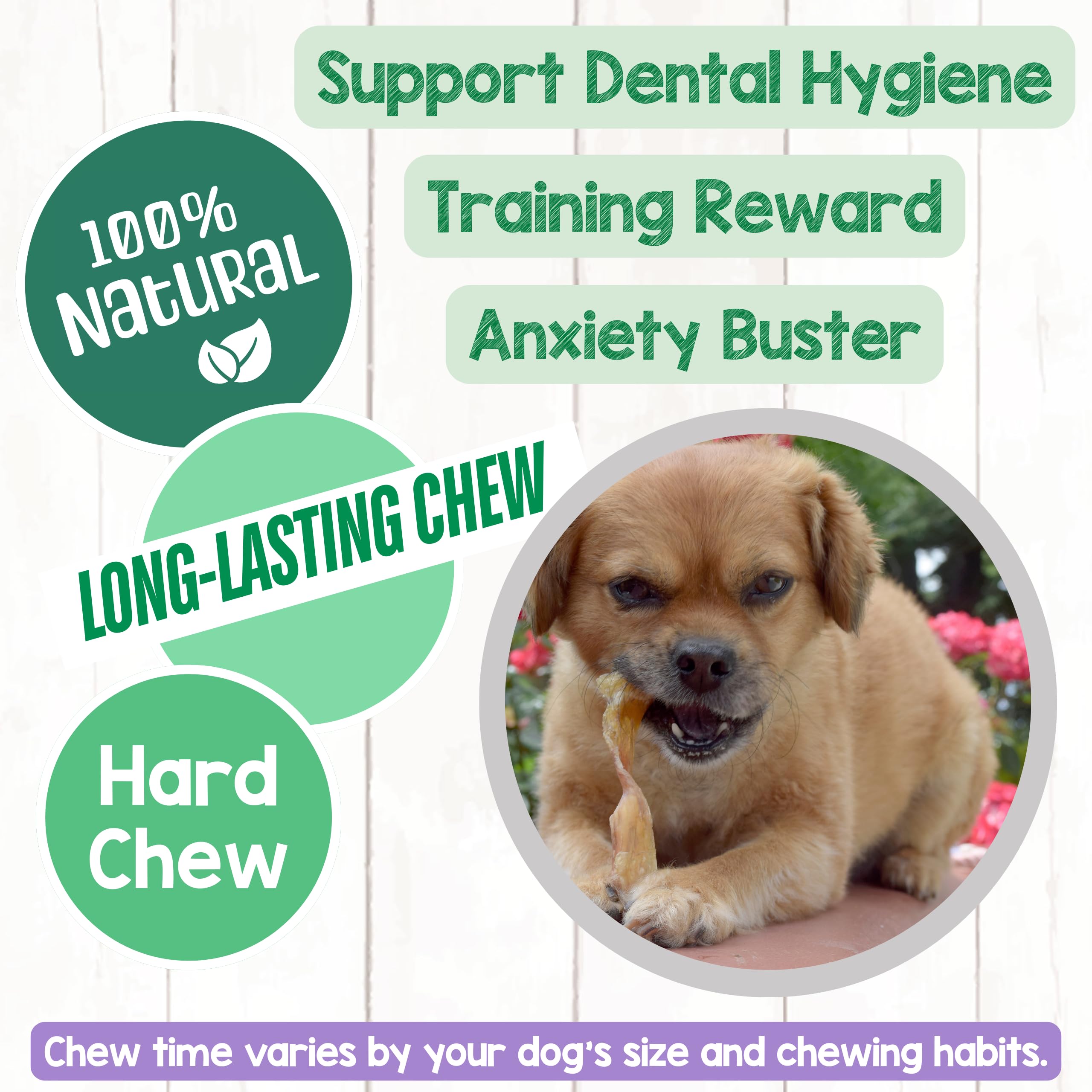 Nature Gnaws tendones para perros pequeños, masticación segura y entretenida