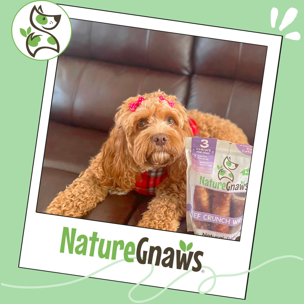 Nature Gnaws trachea de res, ideal para sesiones de entrenamiento.