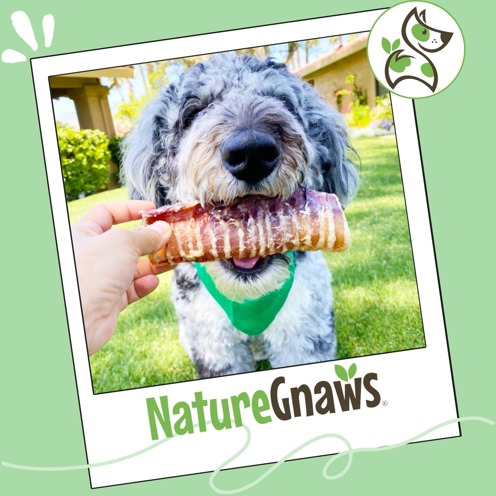 Nature Gnaws trachée de boeuf pour chiens, saveur naturelle appréciée par les chiens.