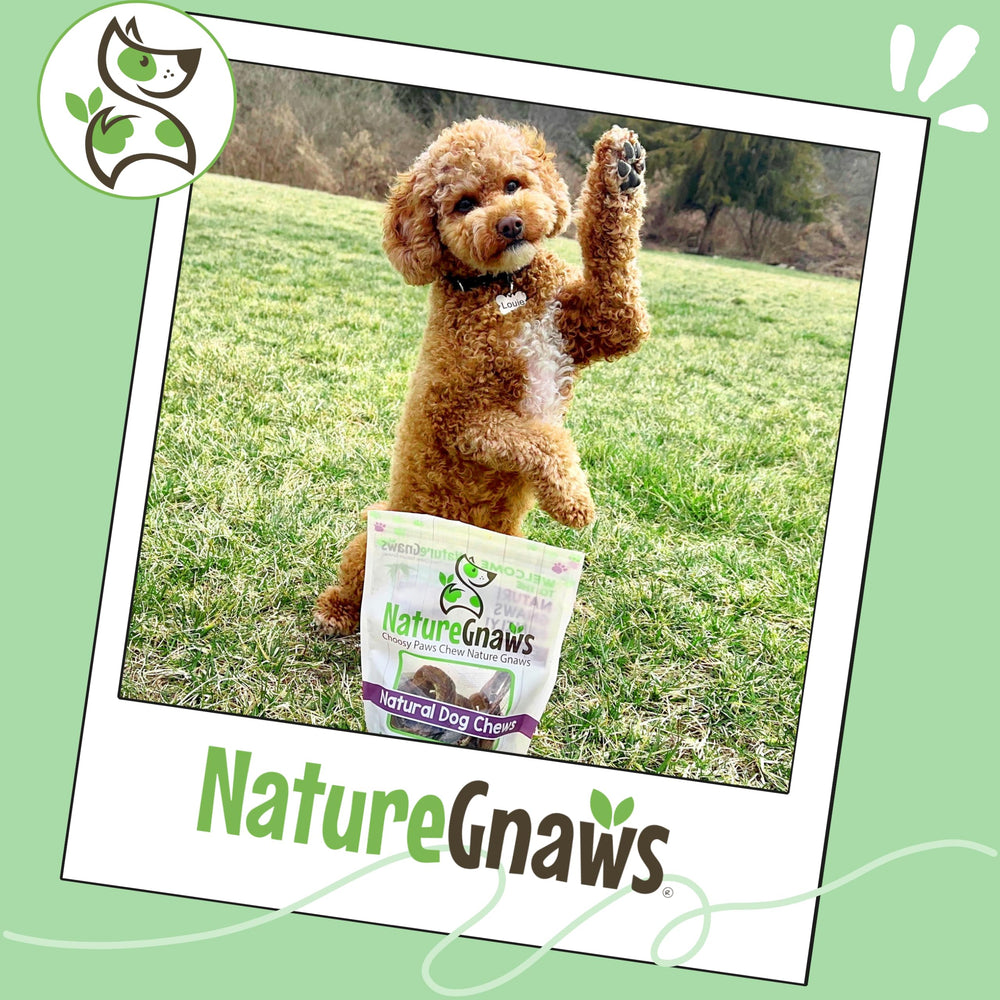 Nature Gnaws uso diario como premio durante entrenamiento.