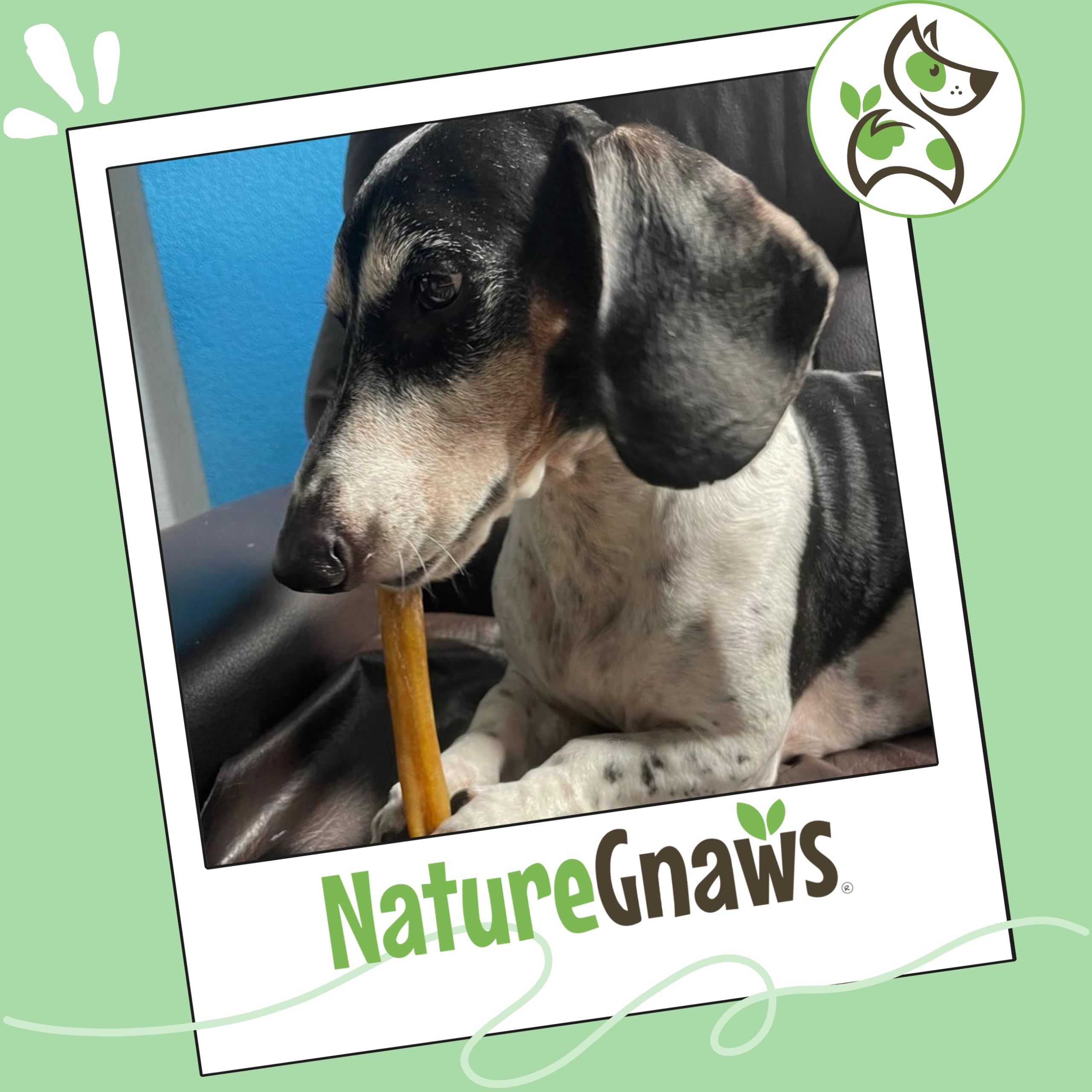 Nature Gnaws uso diario para perros, entretenimiento constante.