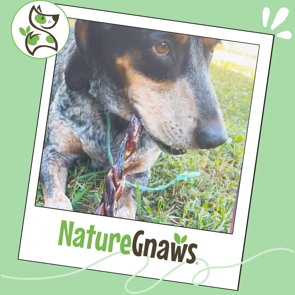 Nature Gnaws uso diario para perros pequeños y medianos