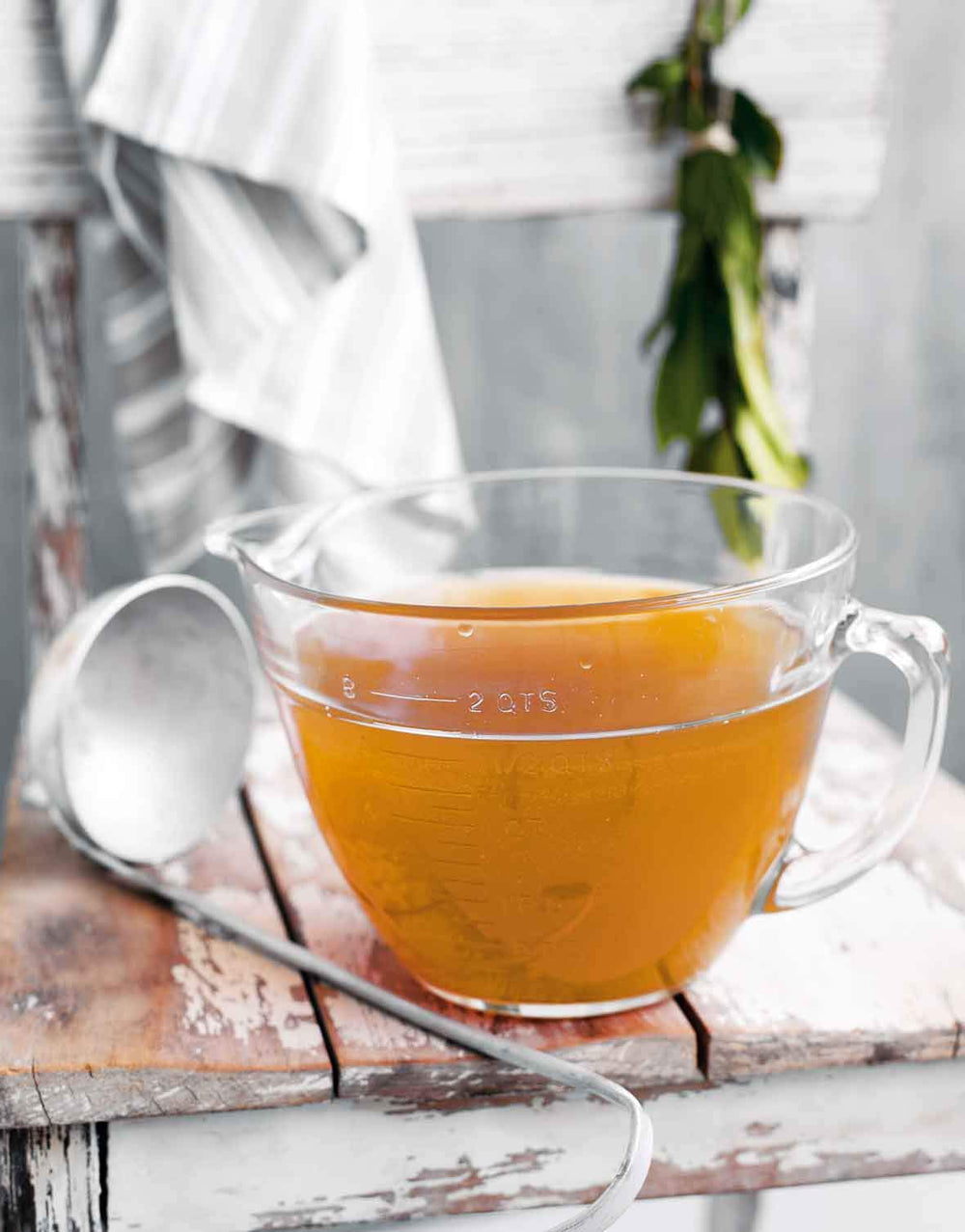 Nature's Diet soin peau-poils, formulation enrichie pour un pelage brillant.