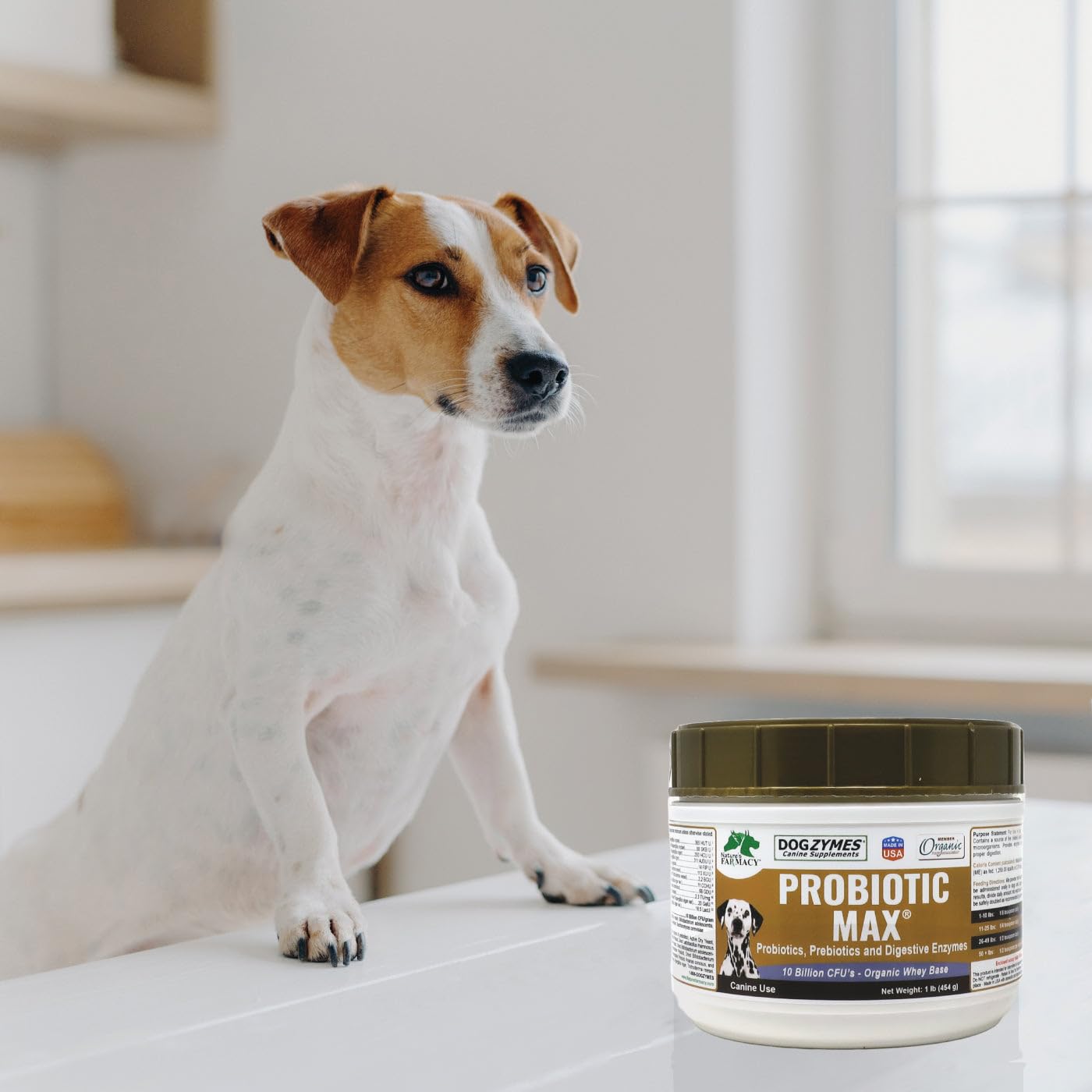 Dogzymes Probiotic Max, etiqueta informativa con uso recomendado y beneficios.