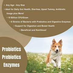 Dogzymes Probiotic Max, polvo digestivo listo para mezclar con la comida.