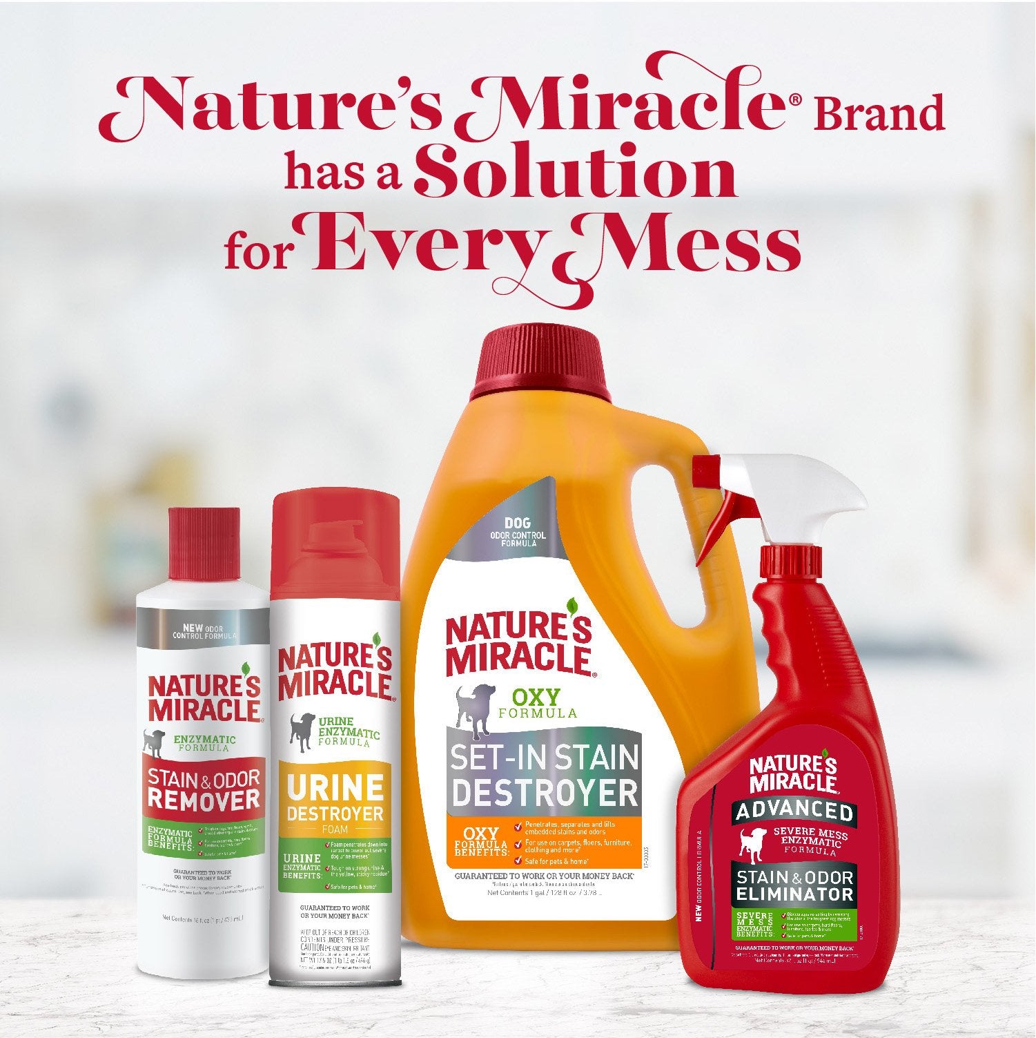 Nature's Miracle Advanced Stain & Odor Eliminar: seguro alrededor de mascotas cuando se usa según indicaciones.