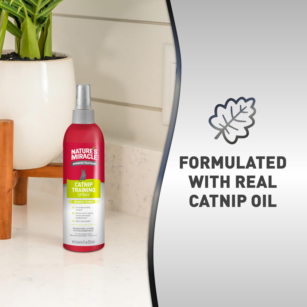 Nature’s Miracle Catnip Spray uso en interiores ideal para entrenamiento suave