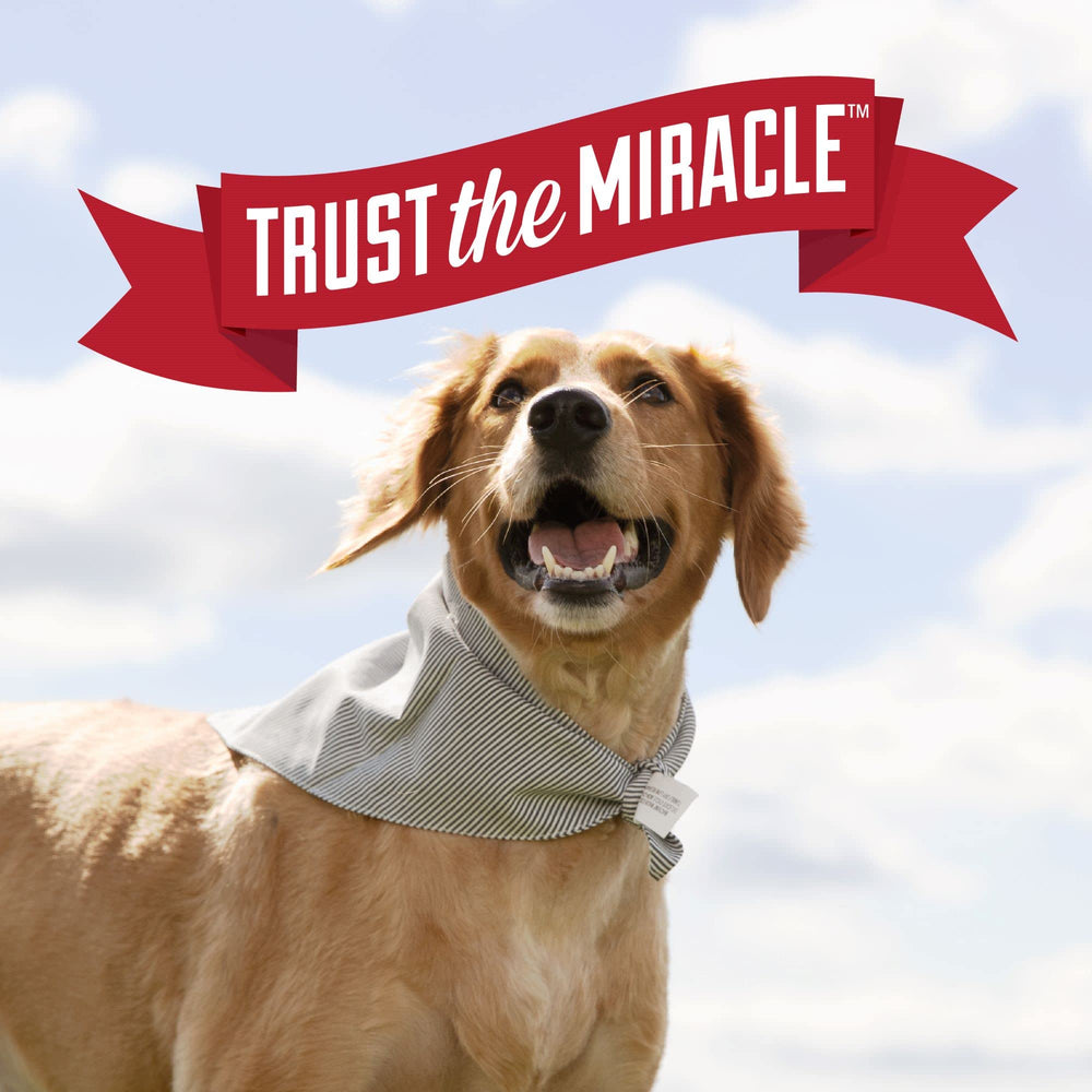 Nature’s Miracle Urine Destroyer Plus: seguro para mascotas y hogar