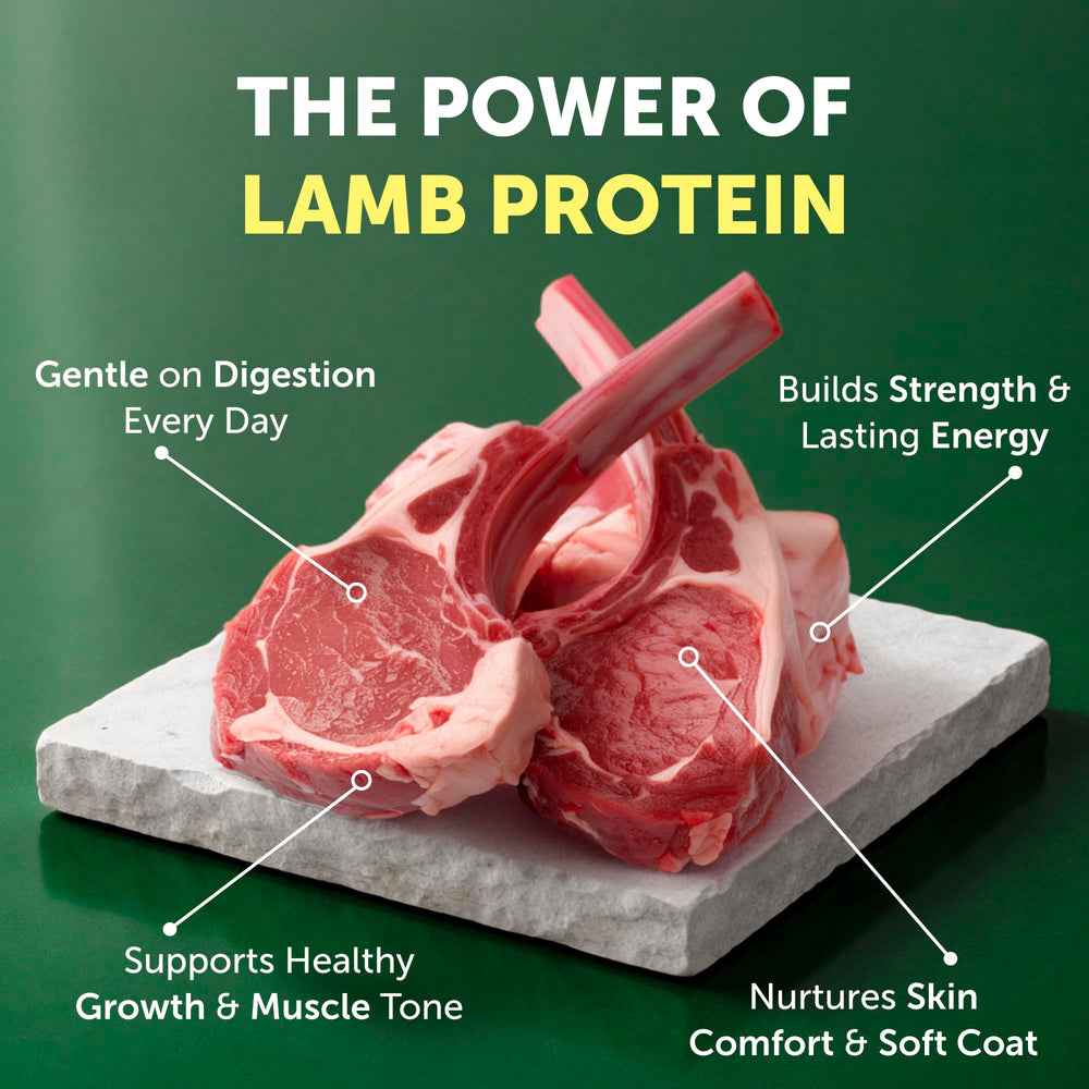 Nature's Protection: cordero como ingrediente principal, aporta hierro y zinc