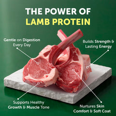 Nature's Protection: cordero como ingrediente principal, aporta hierro y zinc