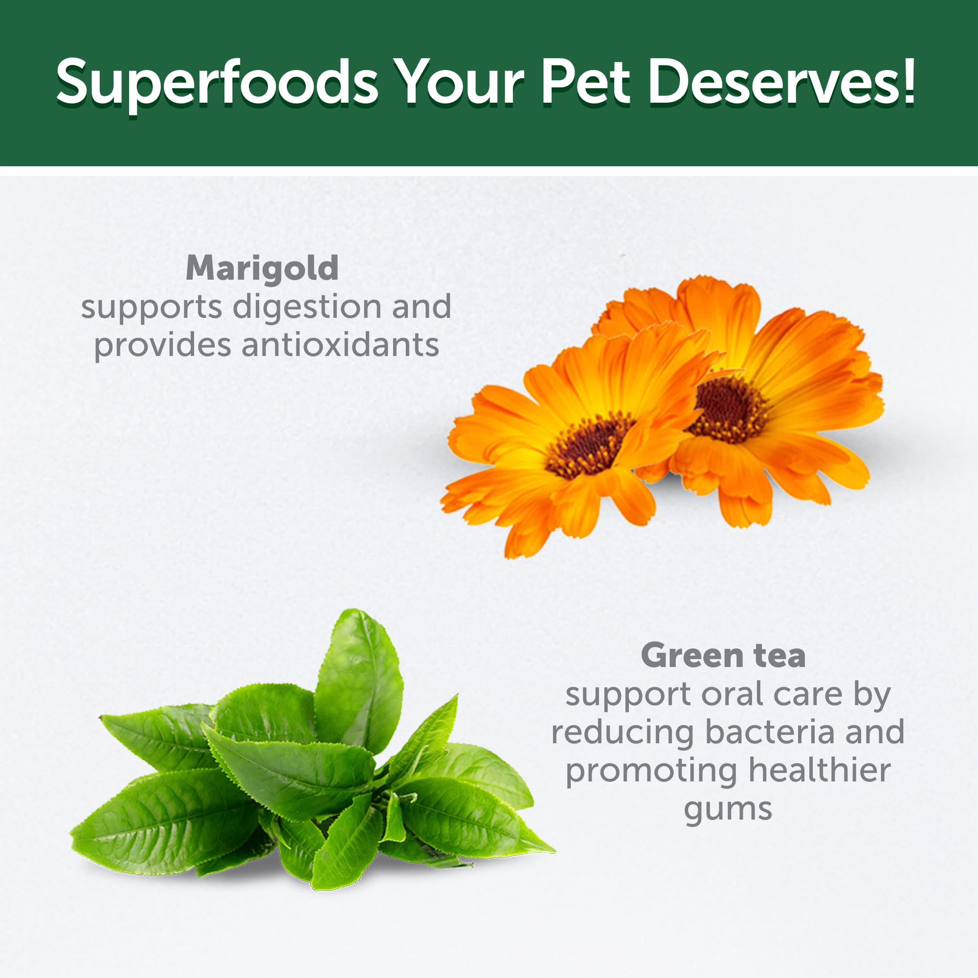 Nature's Protection Dental Chews uso diario para perros de diferentes tamaños