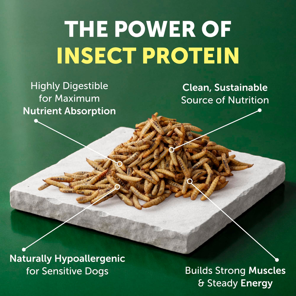 Nature's Protection fórmula sin granos para estómagos sensibles y alérgenos comunes