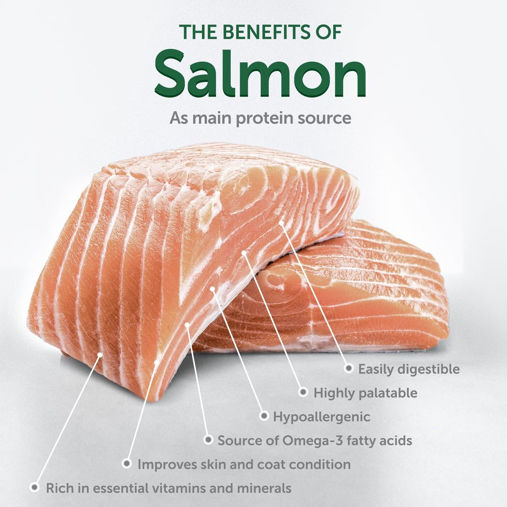 Salmón como ingrediente principal para pelaje saludable y sabor agradable