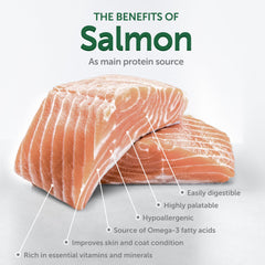Salmón como ingrediente principal para pelaje saludable y sabor agradable