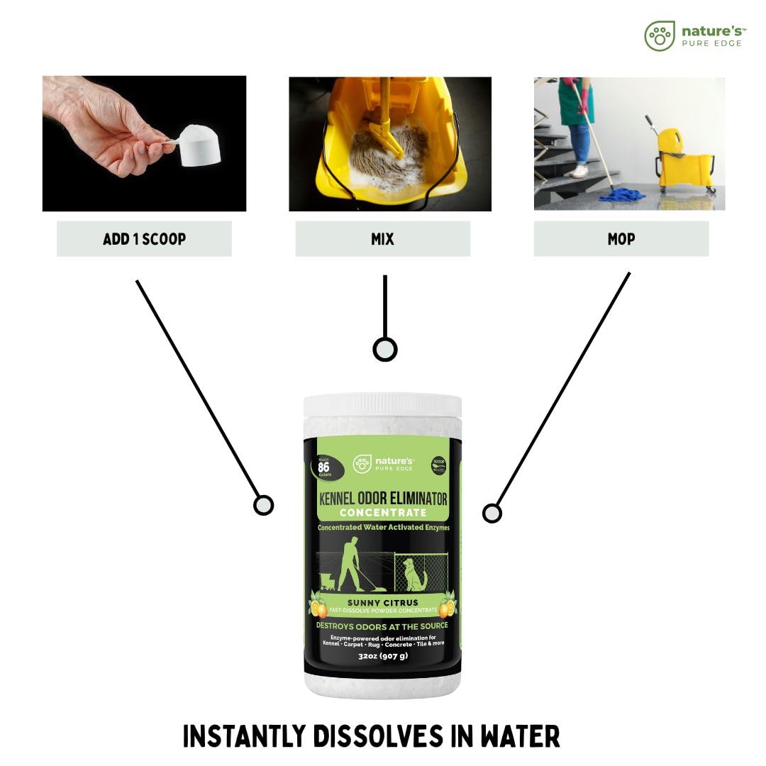 Nature's Pure Edge polvo enzimático aplicación con mopa para manchas