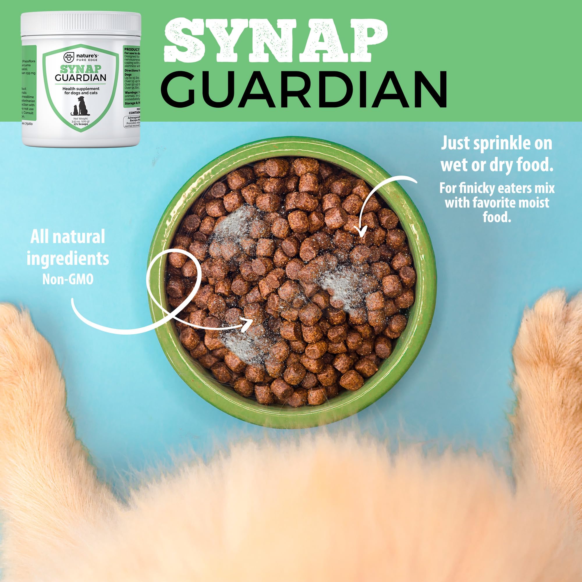 Synap Guardian facilitando la relajación de un gato durante cambios en el entorno.