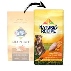 Nature's Recipe calabaza digestiva: fibra natural para apoyo digestivo