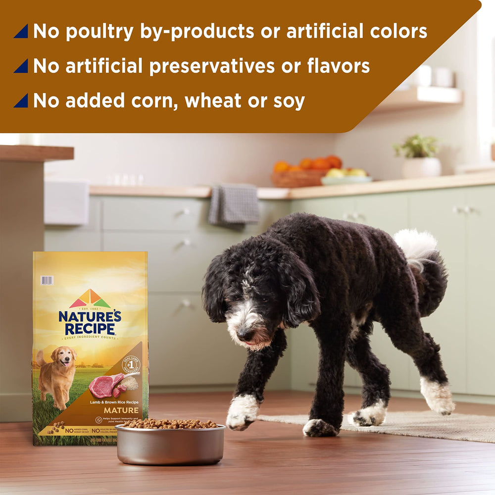 Nature's Recipe cordero maduro y arroz integral, sin subproductos de pollo ni colorantes artificiales
