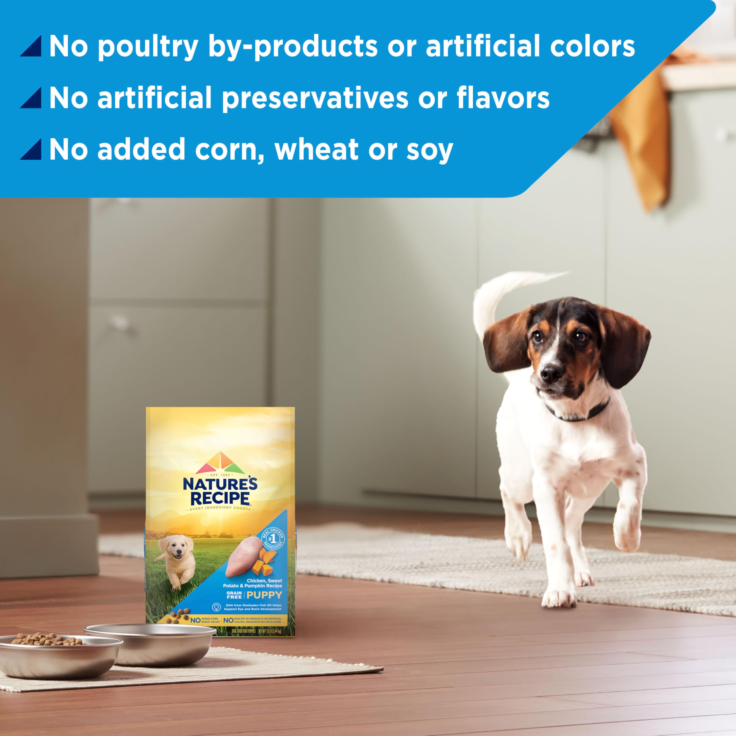 Nature's Recipe fórmula natural con vitaminas y minerales para cachorros