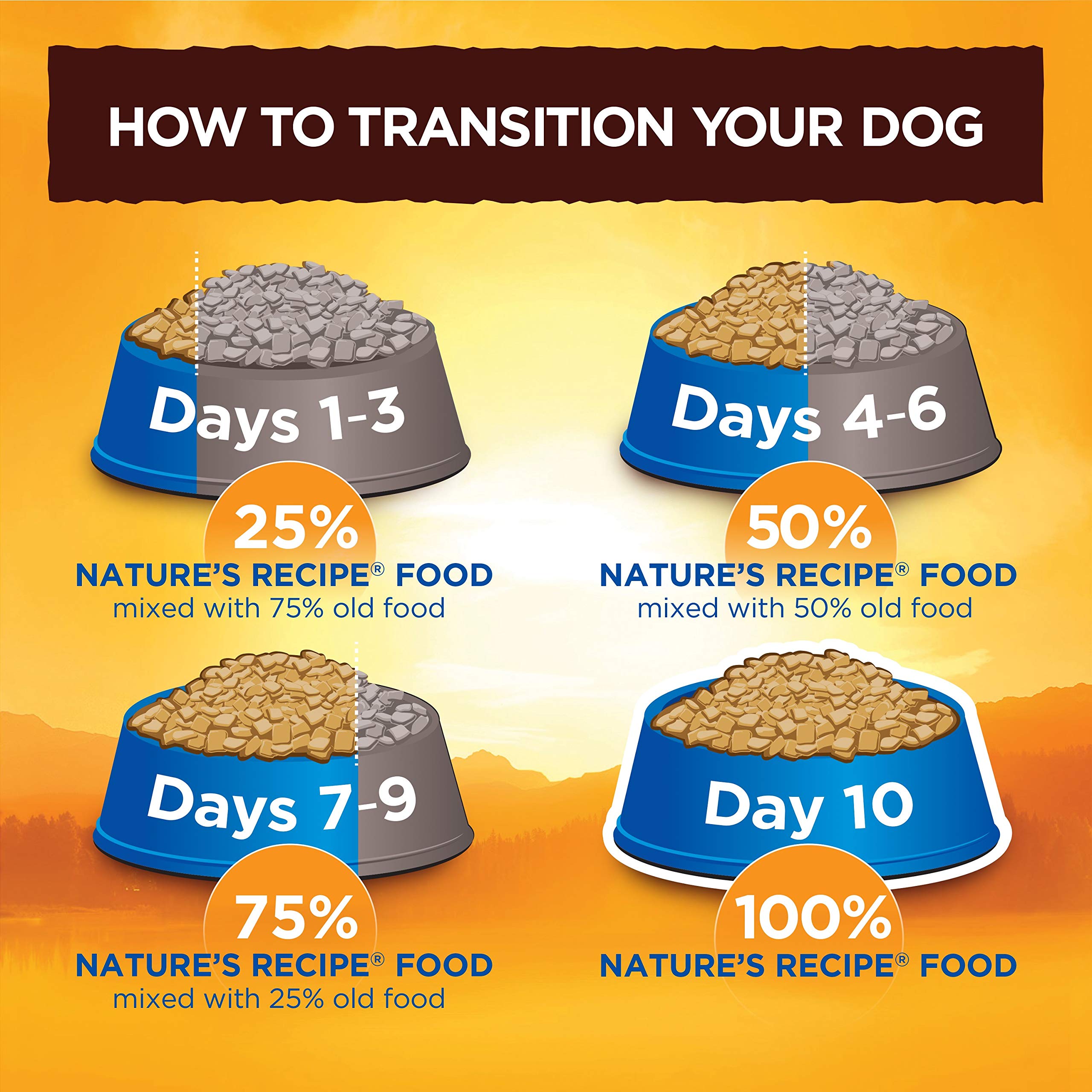Nature's Recipe dieta perro adulto: composición pensada para perros adultos