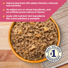 Lata Nature's Recipe con batata y calabaza, ingredientes naturales.