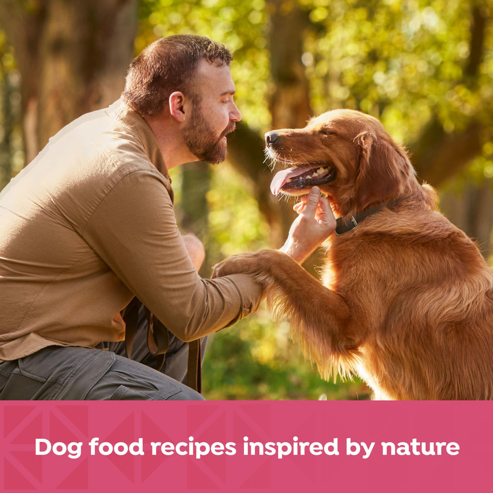 Lata Nature's Recipe sin subproductos avícolas ni conservantes artificiales.