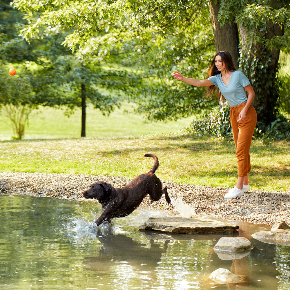 Nature's Recipe perro adulto, dieta equilibrada.