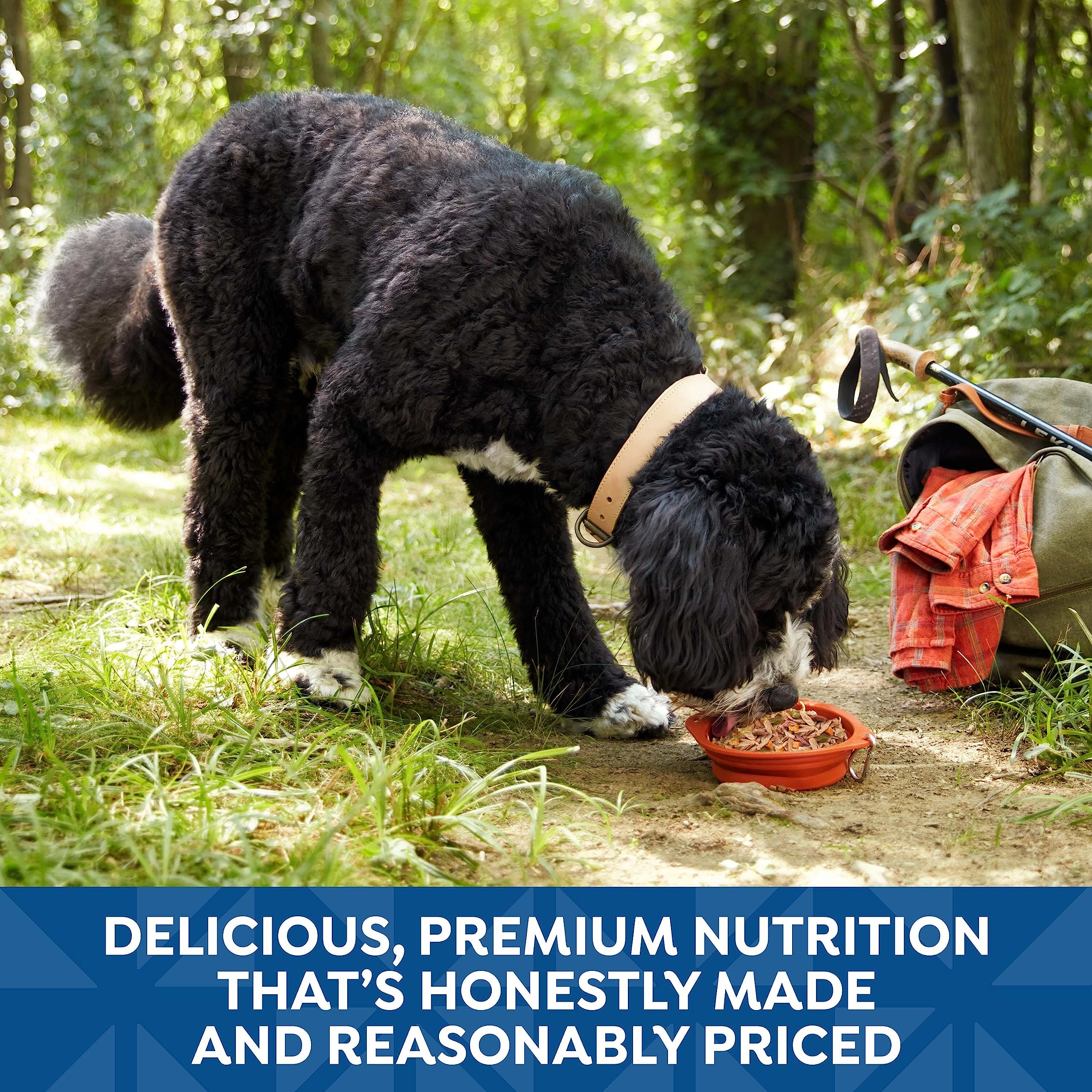 Nature’s Recipe perro disfrutando de una comida húmeda.