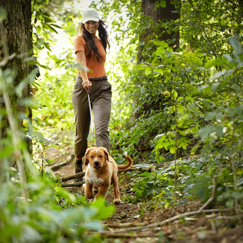 Nature's Recipe Puppy fibra para digestión saludable