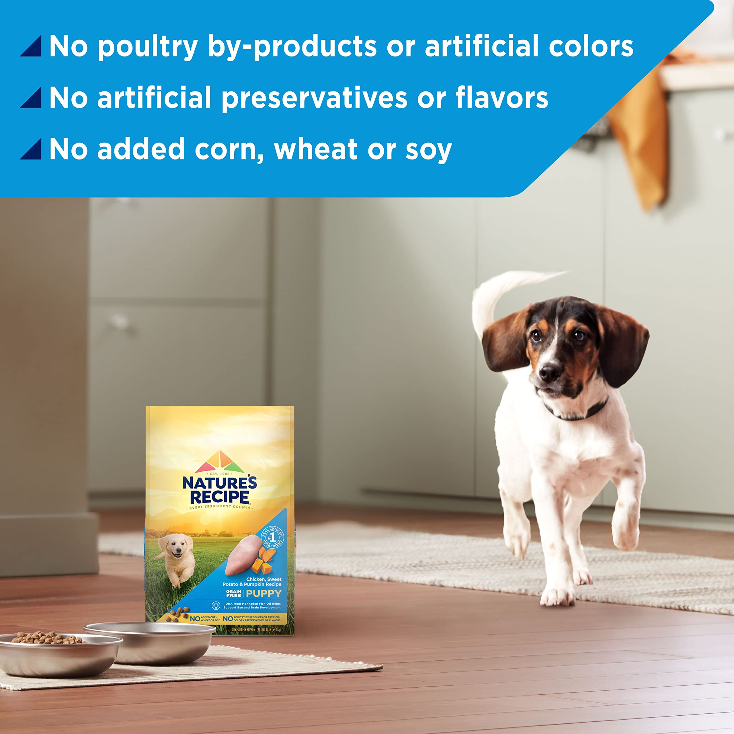 Nature's Recipe Puppy calabaza, sabor natural para cachorros