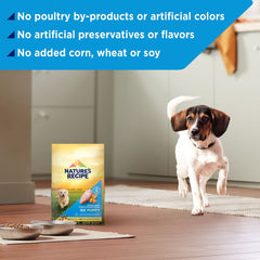 Nature's Recipe Puppy calabaza, sabor natural para cachorros