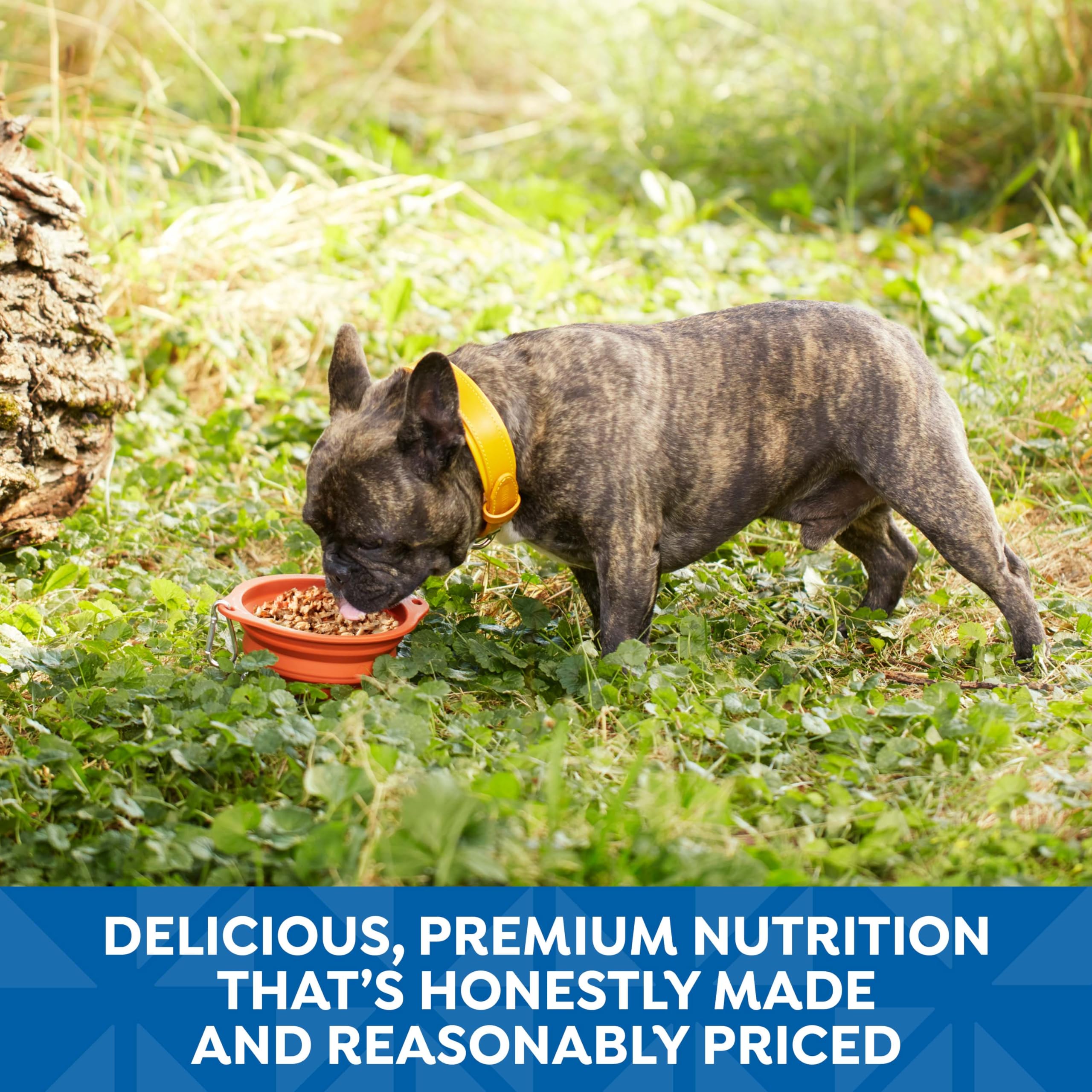Receta salmón-arroz-caldo sabroso, fuente de proteína de calidad.