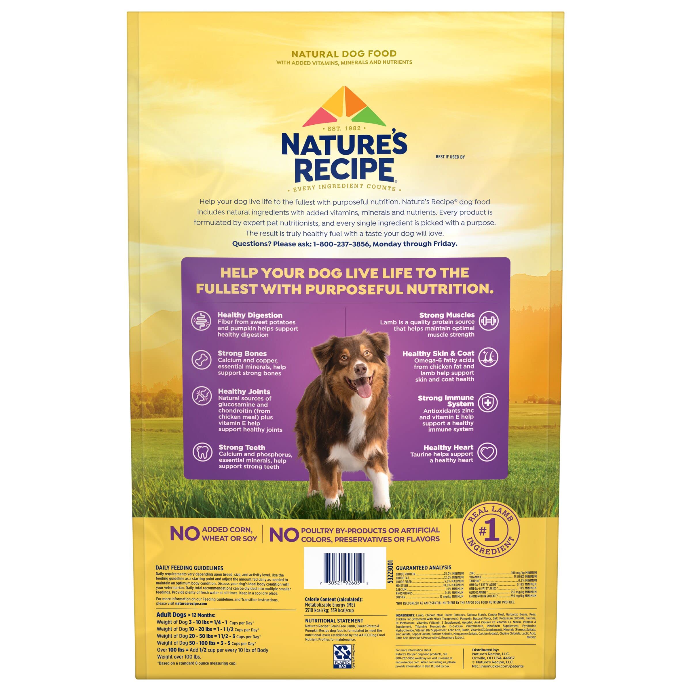 Nature's Recipe: sin maíz, trigo ni soja para perros sensibles