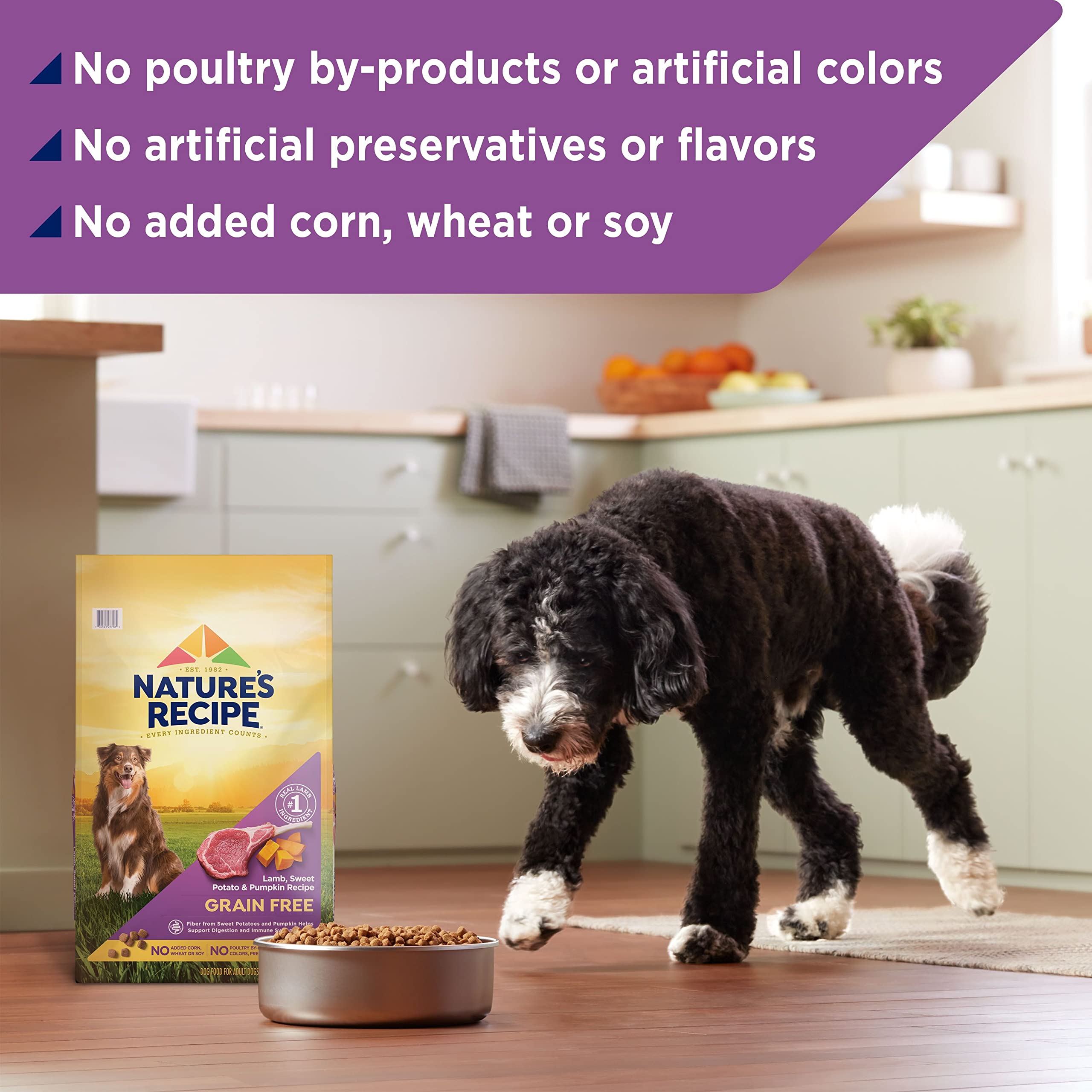 Nature's Recipe: sin subproductos de pollo ni colorantes artificiales