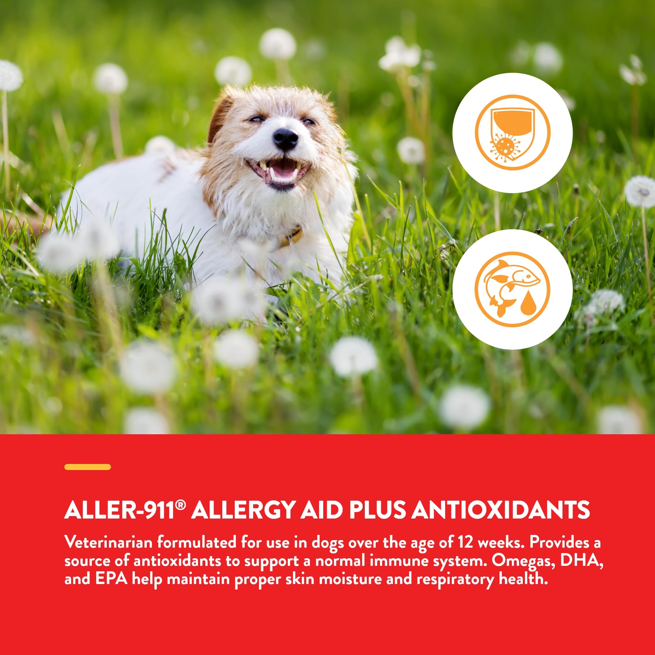NaturVet Aller-911 ingredientes antioxidantes, apoyo a la vitalidad de la mascota