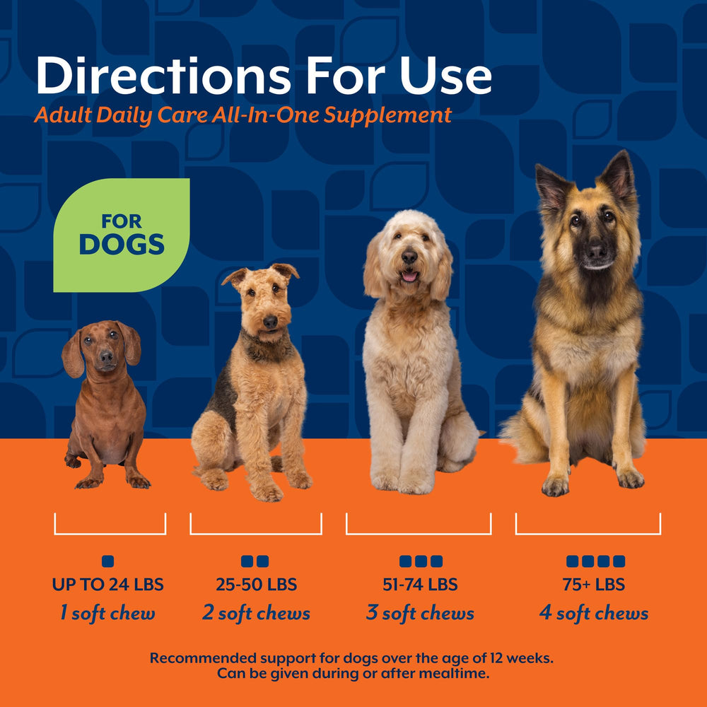 NaturVet apoyo cognitivo para perros, función cerebral.