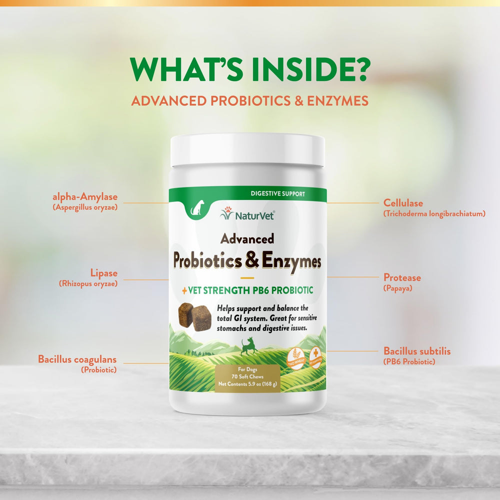 NaturVet bacillus subtilis y coagulans para la salud intestinal.