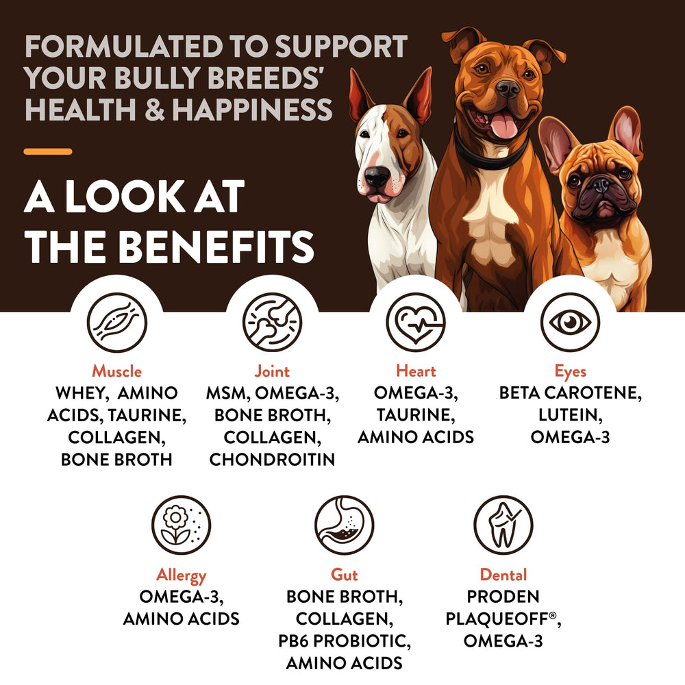 NaturVet Bulldog, etiqueta de ingredientes, resalta Omega-3 y colágeno para piel sana.