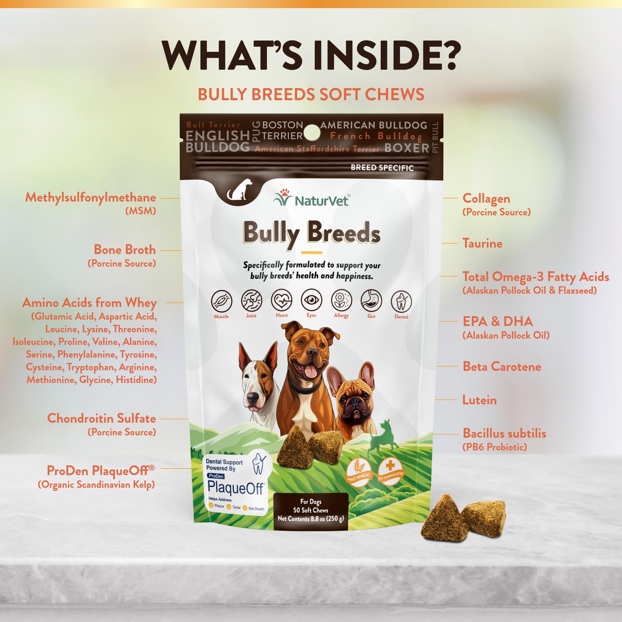 NaturVet Bulldog, sabor a caldo de huesos, mejora palatabilidad para perros.
