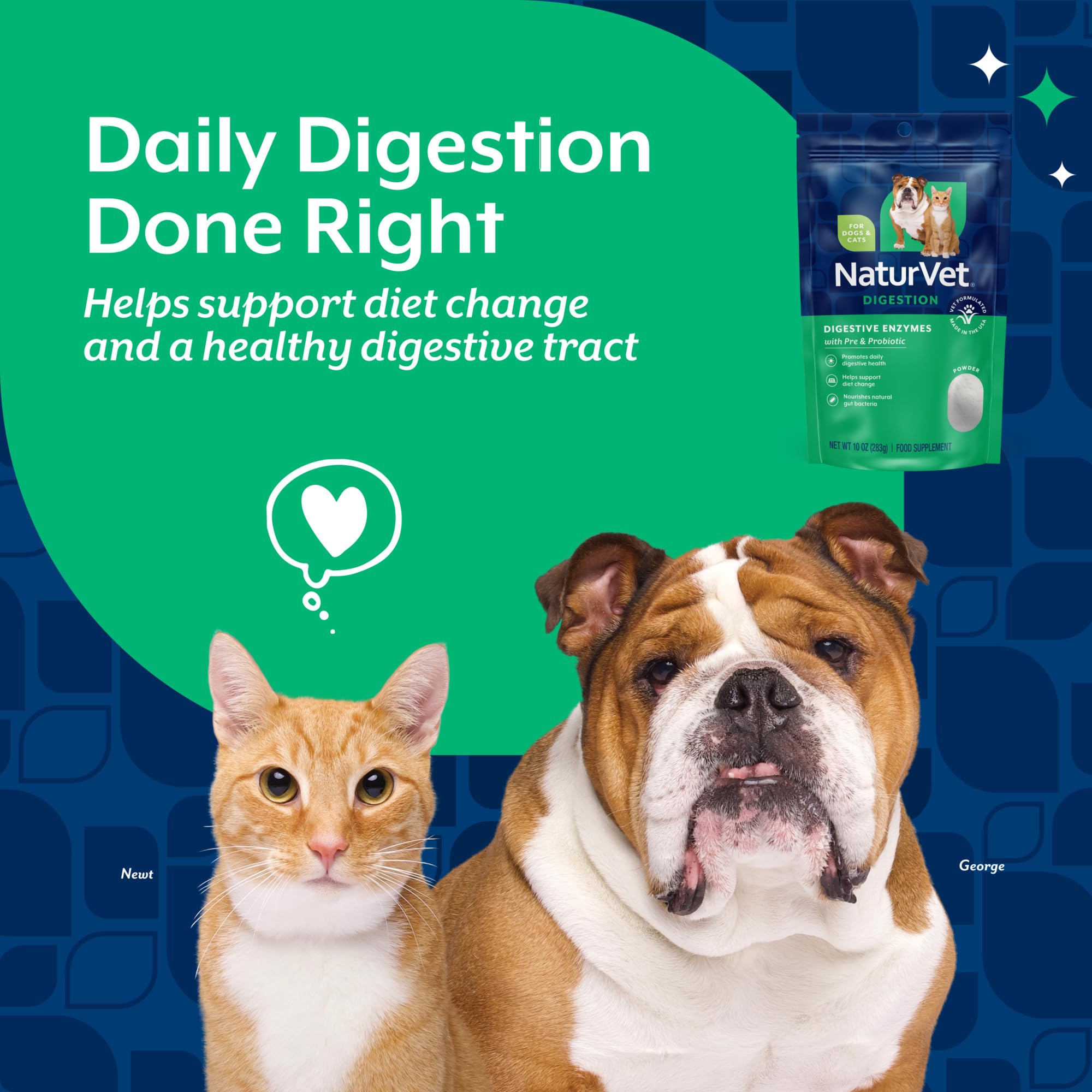 NaturVet Enzimas Digestivas: perros y gatos comiendo, posible apoyo digestivo.